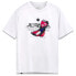 ფოტო #2 პროდუქტის ALPINESTARS R short sleeve T-shirt