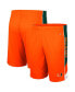 ფოტო #1 პროდუქტის Big Boys Orange Miami Hurricanes Pool Side Shorts