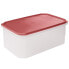 Фото #1 товара TATAY TOP FLEX 4.7L food container