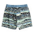 Фото #2 товара BILLABONG Vacay Lb Swimming Shorts