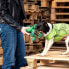 Фото #17 товара Игрушка для собак The Avengers Зеленая из 100% полиэстера
