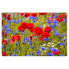 Фото #1 товара Vinylteppich Sommerwiese mit Mohn