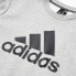 Фото #3 товара [GC7337] Mens Adidas Badge of Sport Fleece Sweatshirt