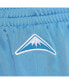 ფოტო #4 პროდუქტის Mitchell Ness Men's Powder Blue Denver Nuggets Hardwood Classics 2003/04 Authentic Shorts