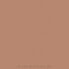 Mattierende Foundation - Paese Expert Matt Foundation 501C - True Beige