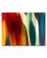 Amy Vangsgard 'Color Fury III' Canvas Art - 47" x 30"