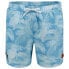 Фото #1 товара ELLESSE Hollin Swimming Shorts