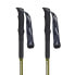 MASTERS Eiger Poles