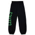 Фото #2 товара Mitchell & Ness B Celtic Champ City Graphic Joggers Mens Size S Casual Athletic