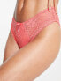 Pour Moi Rebel lace high leg brief in coral
