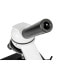 Opticon Genius microscope 40x-1250x - white
