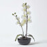 Фото #3 товара Kunstblume Orchidee Gesteck mit topf