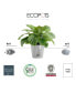 Фото #2 товара Eco pots Venice Indoor and Outdoor Planter with Water Reservoir, 12in