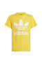 Фото #2 товара Футболка Adidas TREFOIL TEE IN8453