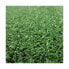 Фото #1 товара Искусственная трава Nortene (1 x 5 m)