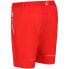 Фото #4 товара REGATTA Mountain II Shorts