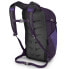 Фото #2 товара OSPREY Daylite Plus 20L Backpack