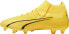 Фото #2 товара Puma Buty piłkarskie Puma Ultra Pro FG/AG 107422 04 43