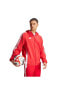 Олимпийка Adidas Tiro24 Wb Erkek Sports Coat