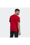 Фото #3 товара Футболка Adidas Kırmızı Erkek T-Shirt 101079859
