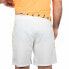 Фото #2 товара VARLION Original Pro Shorts