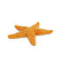 Фото #5 товара SAFARI LTD Starfish Sea Life Figure