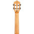 Flight Iris Baritone Ukulele BK