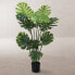 Фото #2 товара Декоративное растение Полиуретан Цемент Monstera 150 cm