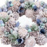Фото #3 товара Рождественский венок Синий Разноцветный Пластик Foam 26 x 26 x 7,5 cm