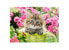 Фото #1 товара Puzzle Kätzchen im Blumengarten