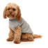 FUZZYARD Stevie Dog Sweater