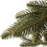 Фото #10 товара Weihnachtsbaum Christbaum Fichte