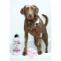 Фото #2 товара Шампунь для домашних животных Wahl Clean & Calm 750 мл