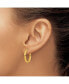 ფოტო #2 პროდუქტის Stainless Steel Polished Yellow plated Hinged Hoop Earrings