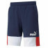 Спортивные мужские шорты Puma Essentials+ Block Темно-синий