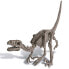 4M Dig A Velociraptor Skeleton Dinosaur Kit