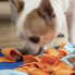 Фото #31 товара Ольфакторный коврик для домашних животных Fooland InnovaGoods
