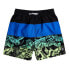 Фото #1 товара BILLABONG Tribong Lb Swimming Shorts