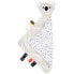 Фото #1 товара CANPOL Cuddle Toy-Blanket with a Soother Clip Babiesboo 68/087 teddy