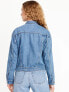 Фото #2 товара Classic Jean Jacket