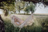 Фото #2 товара Amazonas AZ-1019110 - Hanging hammock - 200 kg - 3 person(s) - Cotton - Polyester - Bordeaux - 3600 mm