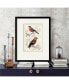 Фото #2 товара D'Orbigny Birds IV 16" x 20" Framed and Matted Art