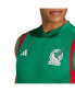 Men's Green Mexico National Team Sleeveless Training jersey