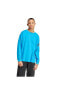 Фото #5 товара Толстовка мужская Adidas Neuclassic Ls Erkek Sweatshirt Is2814