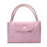 Сумка LONGCHAMP Le Pliage 1623619P36