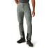 Фото #1 товара REGATTA Mountain III pants