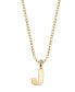 Фото #10 товара 2028 gold-Tone Initial Necklace 20"