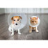 ფოტო #3 პროდუქტის FREEDOG Elizabethan Collar 9-19 cm