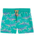 Toddler Dinosaur Swim Trunks 2T