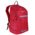 REGATTA Jaxon III 10L backpack